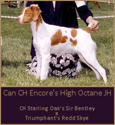 Can CH Encore's High Octane JH